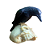 Corvo no Crânio - Imagem 1