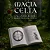 Livro Magia Celta + Brinde Exclusivo - Imagem 3