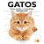 Gatos : Como escolher o companheiro ideal para você - Imagem 1