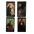 Tarot Universal Monsters - Tarô Monstros Universais - Imagem 2