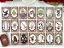 Baralho Cigano Fairy Tale Dream Lenormand - Imagem 3