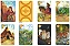 Celtic Lenormand - Baralho cigano Celta - Imagem 3