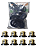 Kit Reparo Bomba Jacto Jp100 E 8 Válvulas Do Cabeçote 108126 - Imagem 1