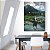Quadro Decorativo Mindset Gato e Leão Luxo - Imagem 4