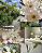 Kit Jasmim fresco - Imagem 2