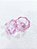 Dappen Rosa de Vidro - Imagem 4