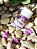 Primer Beautify - Imagem 3
