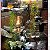 Taça Vidro Decorativa Nápoli Vaso 50x20 cm Decoração Casa Festa Plantas Cerimonia Unidade - Imagem 9