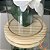 Redoma de Vidro 35 cm-Base Madeira - Imagem 4