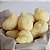 Pão Sem Queijo de Batata (500g) ⭐⭐⭐⭐⭐ - Imagem 2