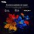 Smart TV TCL 55" QLED 4K Google TV Wi-Fi HDR Dolby Vision - Imagem 9