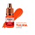 PIGMENTO LABIAL MENELA LARANJA TULIPA 5ML - Imagem 1