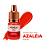 PIGMENTO LABIAL MENELA CORAL AZALEIA 5ML - Imagem 1
