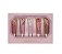 Victoria's Secret Kit 5 Lip Gloss  Favorites - Imagem 2