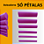 SÓ PÉTALAS - Boleadores arte mandala - Imagem 1