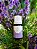 Óleo Essencial de Patchouli - 10ml - Imagem 2