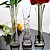 Kit Mini Vaso Tulipa Vidro 19,5cm C/ 2un - Transparente - Imagem 3