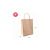 Kit Sacolas P para Presente Atacado Delivery  C/10 - 21,5x15x8cm - Imagem 2