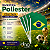Brasil - Bandeira de Poliester 20x27cm com Haste - Kit 12 Unidades - Imagem 1