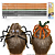 Cabelo Maluco Halloween Aranha e Abóbora 10 Hastes Flexíveis de Pelúcia Chenille e 2 Olhos Móveis Autoadesivo - Imagem 2