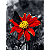 Quadro Decorativo Womens Batom Chuva e Flor - Imagem 4