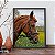 Quadro Decorativo Animais Cavalo - Imagem 1