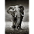 Quadro Decorativo Animais Trio Elefante - Imagem 3