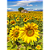 Quadro Decorativo Paisagem Girassol - Imagem 2