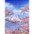 Quadro Decorativo Paisagem Monte Fuji - Imagem 2