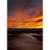 Quadro Decorativo Paisagem Trio Deserto - Imagem 3