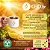 Café Lime Kush - GRÃOS - Sachê 500g - Imagem 2