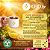 Café Morning Kush - MOÍDO - Sachê 500g - Imagem 3