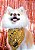 Bandana Pet de Paetê Dourado - Imagem 2