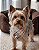 Bandana Pet Estampada COLAB Pet BENDOG - Imagem 1