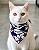 Bandana Pet Estampada COLAB Pet BENDOG - Imagem 1