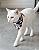 Bandana Pet Estampada COLAB Pet BENDOG - Imagem 2