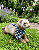 Bandana Pet Estampada COLAB Pet BENDOG - Imagem 2
