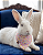 Bandana Pet Estampada COLAB Pet BENDOG - Imagem 2