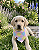Bandana Pet Estampada COLAB Pet BENDOG - Imagem 2