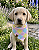 Bandana Pet Estampada COLAB Pet BENDOG - Imagem 1