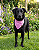 Bandana Pet Estampada COLAB Pet BENDOG - Imagem 2