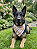 Bandana Pet COLAB BENDOG - Imagem 2