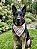 Bandana Pet COLAB BENDOG - Imagem 1