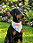 Bandana Pet COLAB BENDOG - Imagem 2