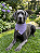 Bandana Pet COLAB BENDOG - Imagem 2
