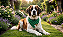 Bandana Pet COLAB BENDOG - Imagem 2