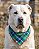 Bandana Pet COLAB BENDOG - Imagem 1
