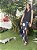 SAIA COM RENDA - Imagem 1