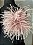BROCHE PLUMAS - Imagem 4