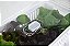 Org. Clear Fresh com Cesto (5L) 30x15x13cm - OU OF350 NT - Imagem 7